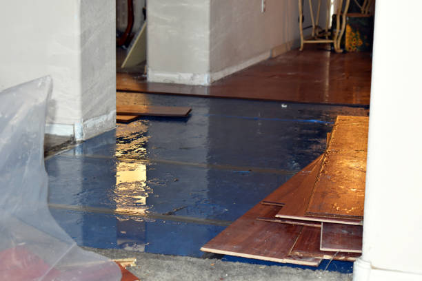Professional Burst Pipe Cleanup technician working in Wellfleet, MA